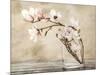 Fiori di magnolia-Cristina Mavaracchio-Mounted Art Print