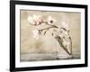 Fiori di magnolia-Cristina Mavaracchio-Framed Art Print