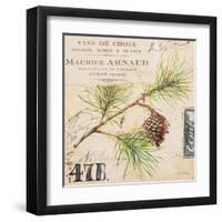 Fir Branch…Sketchbook-Angela Staehling-Framed Art Print