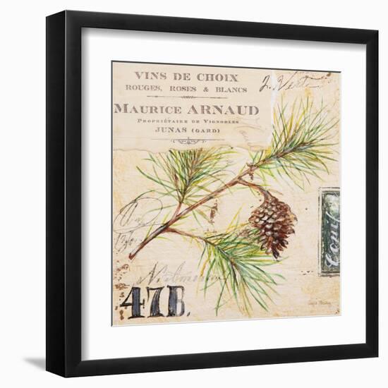 Fir Branch…Sketchbook-Angela Staehling-Framed Art Print