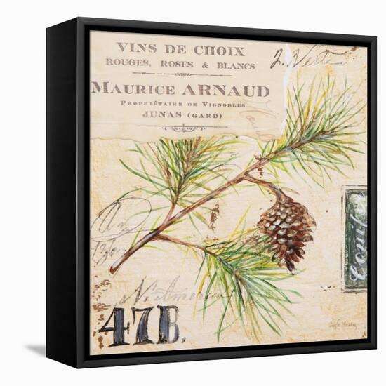 Fir Branch…Sketchbook-Angela Staehling-Framed Stretched Canvas