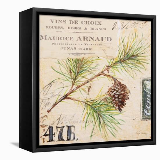 Fir Branch…Sketchbook-Angela Staehling-Framed Stretched Canvas