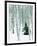 Fir in Aspen grove, Dixie National Forest, Utah, USA-Charles Gurche-Framed Photographic Print