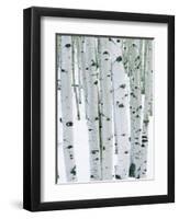 Fir in Aspen grove, Dixie National Forest, Utah, USA-Charles Gurche-Framed Photographic Print