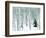 Fir in Aspen grove, Dixie National Forest, Utah, USA-Charles Gurche-Framed Photographic Print