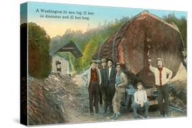 Fir Log, Lumberjacks, Washington-null-Stretched Canvas