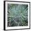 Fir Needles-Ken Bremer-Framed Limited Edition