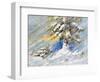 Fir-Tree In Snow. A Picture Drawn By Oil-balaikin2009-Framed Art Print