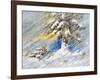 Fir-Tree In Snow. A Picture Drawn By Oil-balaikin2009-Framed Art Print