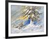 Fir-Tree In Snow. A Picture Drawn By Oil-balaikin2009-Framed Art Print