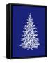 Fir Tree-Mike_Kiev-Framed Stretched Canvas