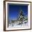 Fir Trees and Spruces after a Snowfall-Andrey Zvoznikov-Framed Photographic Print