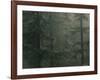 Fir Trees in Rain, Oregon, United States of America, North America-Colin Brynn-Framed Photographic Print