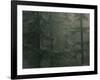 Fir Trees in Rain, Oregon, United States of America, North America-Colin Brynn-Framed Photographic Print