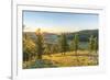 Fir trees in the morning light above Tsenkher Hot Springs, North Hangay province, Mongolia, Central-Francesco Vaninetti-Framed Photographic Print