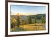 Fir trees in the morning light above Tsenkher Hot Springs, North Hangay province, Mongolia, Central-Francesco Vaninetti-Framed Photographic Print