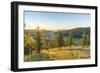 Fir trees in the morning light above Tsenkher Hot Springs, North Hangay province, Mongolia, Central-Francesco Vaninetti-Framed Photographic Print