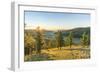 Fir trees in the morning light above Tsenkher Hot Springs, North Hangay province, Mongolia, Central-Francesco Vaninetti-Framed Photographic Print