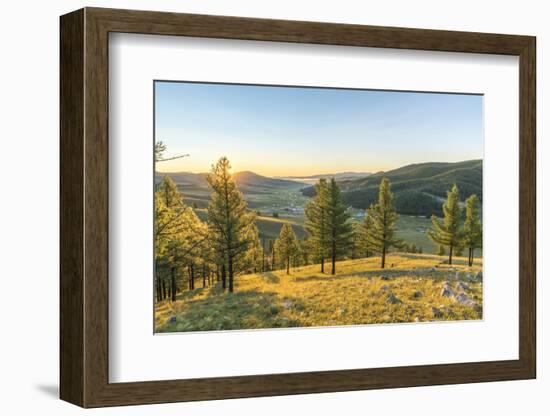 Fir trees in the morning light above Tsenkher Hot Springs, North Hangay province, Mongolia, Central-Francesco Vaninetti-Framed Photographic Print