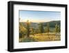 Fir trees in the morning light above Tsenkher Hot Springs, North Hangay province, Mongolia, Central-Francesco Vaninetti-Framed Photographic Print