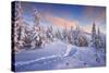 Fir Trees under the Snow. Mountain Forest in Winter. Christmas Landscape. the Path in the Snow. Car-Kotenko-Stretched Canvas