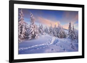 Fir Trees under the Snow. Mountain Forest in Winter. Christmas Landscape. the Path in the Snow. Car-Kotenko-Framed Photographic Print