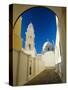 Fira, Santorini, Cyclades Islands, Greece, Europe-Lee Frost-Stretched Canvas