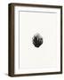 Fire, 2017-Bella Larsson-Framed Giclee Print