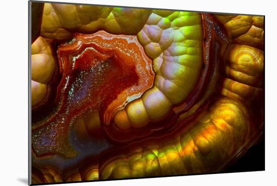 Fire Agate-Darrell Gulin-Mounted Photographic Print