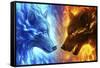 Fire and Ice-JoJoesArt-Framed Stretched Canvas