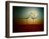 Fire and water-Dimitar Lazarov --Framed Photographic Print