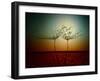 Fire and water-Dimitar Lazarov --Framed Photographic Print