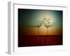 Fire and water-Dimitar Lazarov --Framed Photographic Print