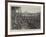 Fire at the Army and Navy Co-Operative Society, Bombay-null-Framed Giclee Print