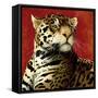 Fire Cat-Will Bullas-Framed Stretched Canvas