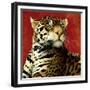 Fire Cat-Will Bullas-Framed Giclee Print