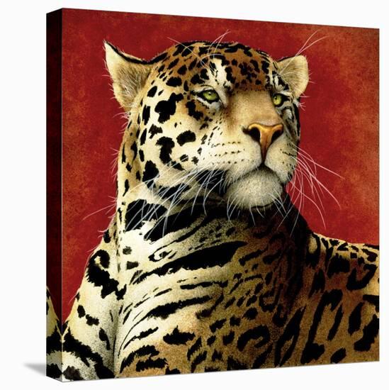 Fire Cat-Will Bullas-Stretched Canvas