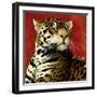 Fire Cat-Will Bullas-Framed Premium Giclee Print