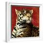 Fire Cat-Will Bullas-Framed Premium Giclee Print