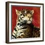 Fire Cat-Will Bullas-Framed Giclee Print