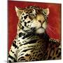 Fire Cat-Will Bullas-Mounted Giclee Print