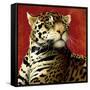 Fire Cat-Will Bullas-Framed Stretched Canvas