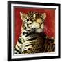 Fire Cat-Will Bullas-Framed Giclee Print