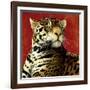 Fire Cat-Will Bullas-Framed Giclee Print