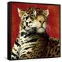 Fire Cat-Will Bullas-Framed Stretched Canvas