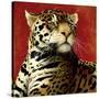 Fire Cat-Will Bullas-Stretched Canvas