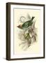 Fire-Crowned and Common Goldcrest-Sir William Jardine-Framed Art Print