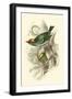 Fire-Crowned and Common Goldcrest-Sir William Jardine-Framed Art Print