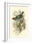 Fire-Crowned and Common Goldcrest-Sir William Jardine-Framed Art Print