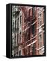 Fire Escapes, Chinatown, Manhattan, New York, United States of America, North America-Martin Child-Framed Stretched Canvas